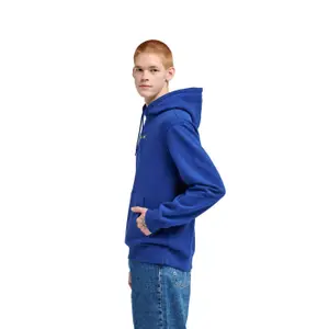Bluza z kapturem Element Lowcase Bp Po image-4