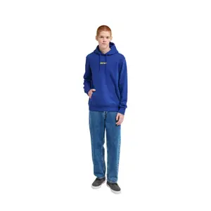Bluza z kapturem Element Lowcase Bp Po image-5