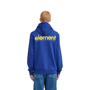 Bluza z kapturem Element Lowcase Bp Po image-3