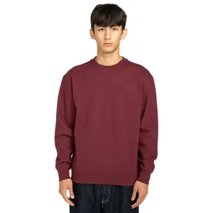 Sweatshirt Element Aligator image-2