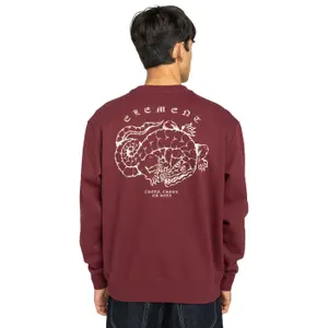 Sweatshirt Element Aligator image-4