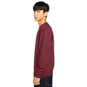 Sweatshirt Element Aligator image-5