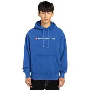 Hooded sweatshirt Element Substance image-2