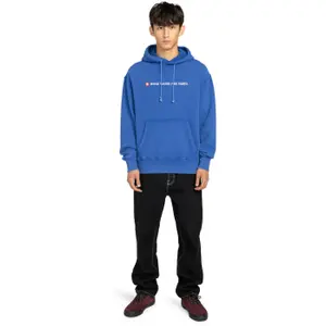 Hooded sweatshirt Element Substance image-1