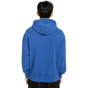 Hooded sweatshirt Element Substance image-4