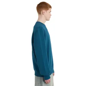 Sweatshirt Element Timber The Frog image-5