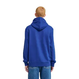 Hooded Sweatshirt Element Timber Carry image-4