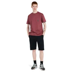 Chino shorts Element Regular image-6