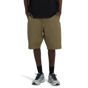 Chino shorts Element Regular image-1