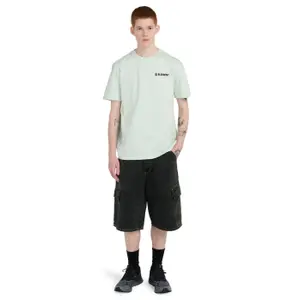 T-shirt Element Blazin Chest image-1