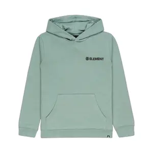 Element Blazin Chest Kids Hoodie image-0