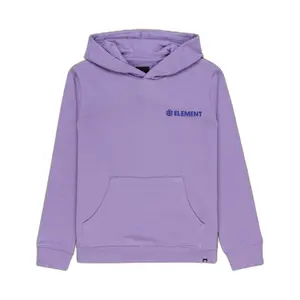 Child hoodie Element Blazin Chest image-0