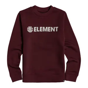Sweatshirt child Element Blazin Crew image-0