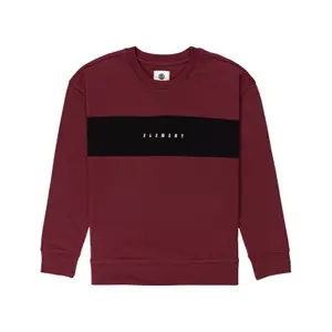 Sweatshirt child Element Sergio CR image-0