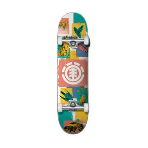 Skateboard for kids Element Naturalist image-0