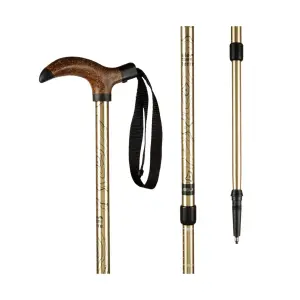 Bastoncini trekking antiurto Élémenterre Froggle image-0