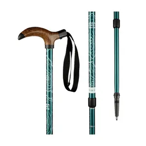 Shock-proof hiking poles Élémenterre Froggle image-0