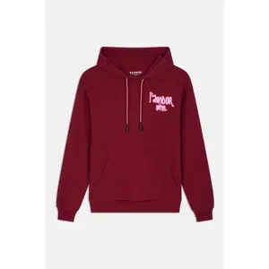 Sweatshirt à capuche enfant ElevenParis Javalentin image-1