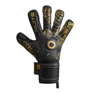 Keepershandschoenen Elite Sport Aztlan image-1