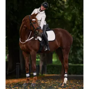 Reflekterande Ridsportjacka ELT image-6