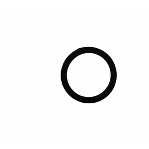 Anéis de vedação Elvedes Hayes Prime, HFX-9, HFX-MAG (x10) image-0