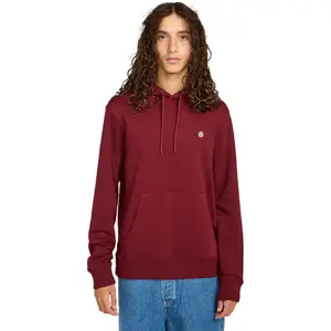 Sweatshirt med huva Element Icon Embroidery image-1