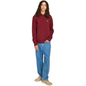 Sweatshirt med huva Element Icon Embroidery image-2
