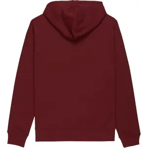 Sweatshirt med huva Element Icon Embroidery image-3