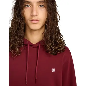 Sweatshirt med huva Element Icon Embroidery image-6