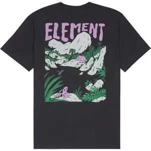 Organic cotton T-shirt Element Lakeside image-3