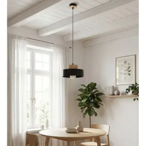 Hanging lamp Emibig Lighting Kivi 1S image-2