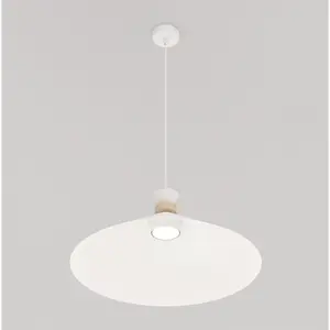 Hanging lamp Emibig Lighting Olivo 1L image-1