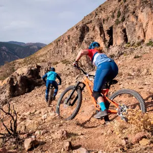 Μπλούζα με μακριά μανίκια Endura SingleTrack image-3