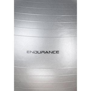 Gymbal Endurance image-1