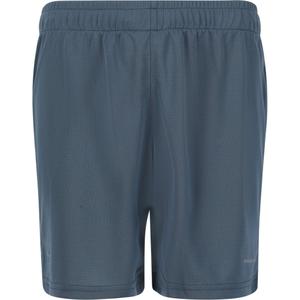 e203719-2164-children-s-shorts-endurance-sesto-slate-blue