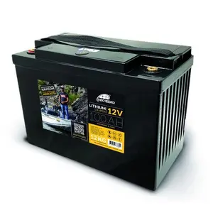 Batterij + usb plug Energy Research Lithium-LFP image-0