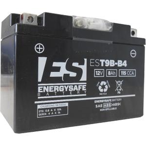 product/e/n/energy-safe_e4924.jpg
