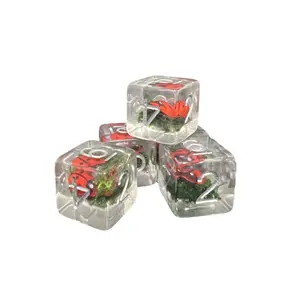 Dé en résine gamme insert Epic Forge D6 Coccinelle (x5) image-2