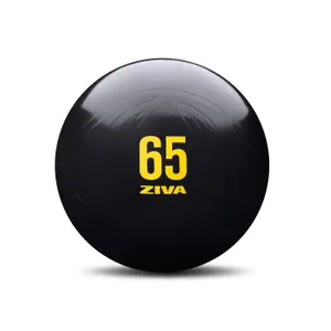 Gimnasio antiestallido Ziva 65cm image-0