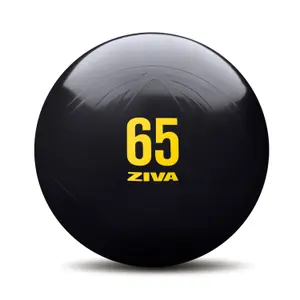 Gimnasio antiestallido Ziva 55cm image-1