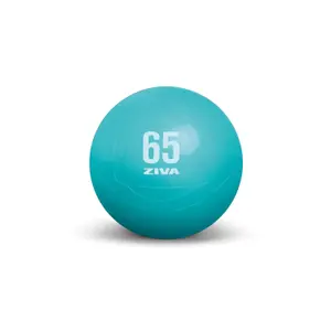 Gimnasio antiestallido Ziva chic 65cm image-0