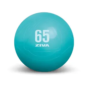 Gimnasio antiestallido Ziva chic 55cm image-1