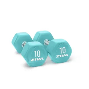 Dumbbell Ziva chic hexagon steel 2.5 kg image-0