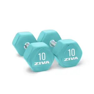 Dumbbell Ziva chic hexagon steel 2.5 kg image-1