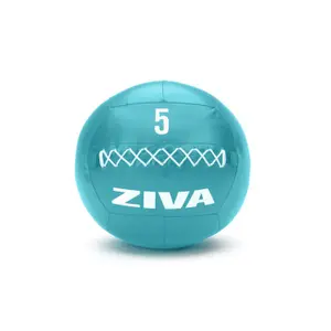 Wall ball Ziva chic 2 kg image-0