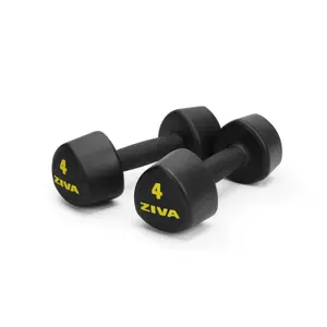 Dumbbell Ziva studio 3 kg image-0
