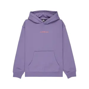 Παιδικό φούτερ με κουκούλα Quiksilver Graphic Hero image-0