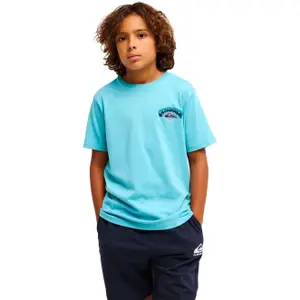 Παιδικό μπλουζάκι Quiksilver Palm Horizon image-1