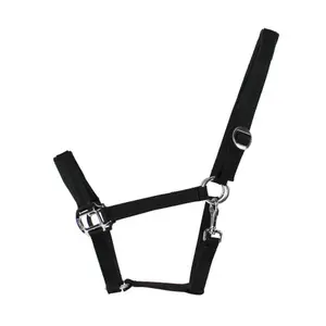 Halfter für Ponys EQuest Regular Plus NOS image-0