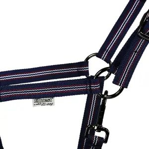 Halter for horse EQuest Halfter Uno Plus Sportline Collection image-2